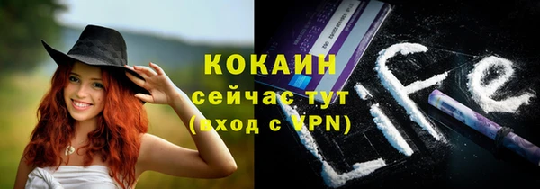 тгк Абаза