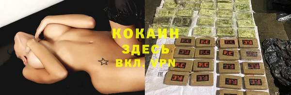 сатива Пересвет