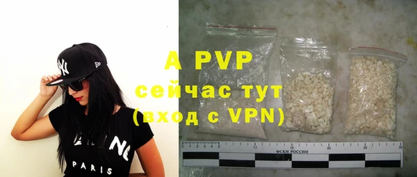 тгк Абаза