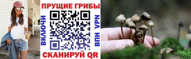 купить наркоту  Яровое  Псилоцибиновые грибы ЛСД 